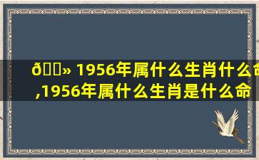 🌻 1956年属什么生肖什么命,1956年属什么生肖是什么命
